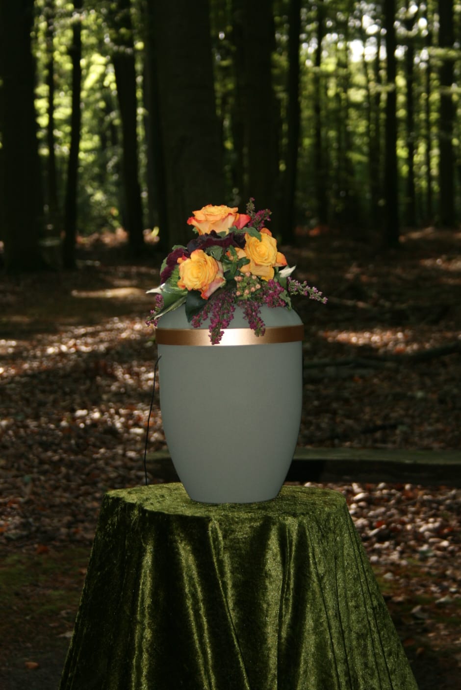 Bild von einer Urne im Wald